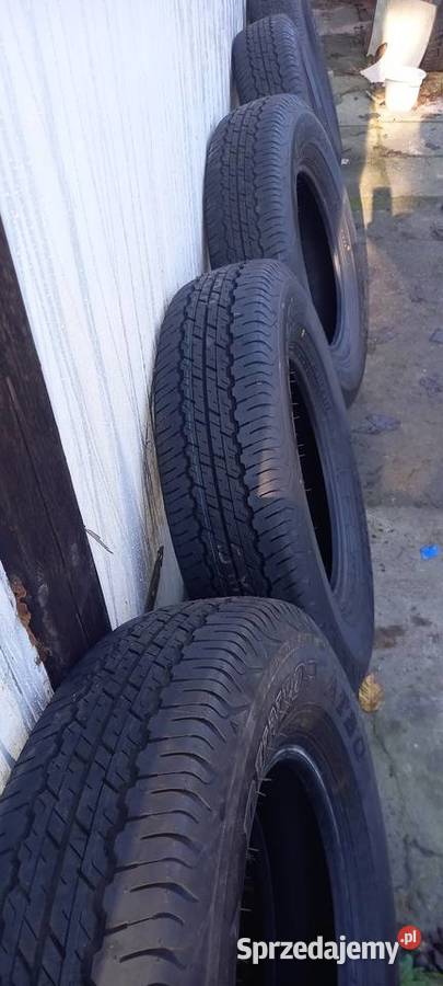 1958015 5 wielosezon Bydgoszcz