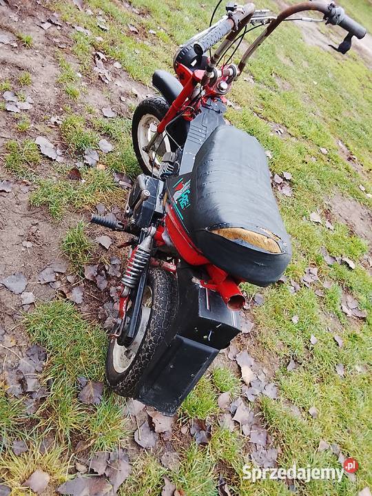Sprzedam Motorynkę Stellę Koło