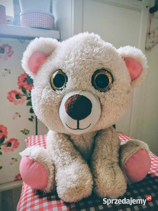 Miś duże brokatowe oczy Katowice