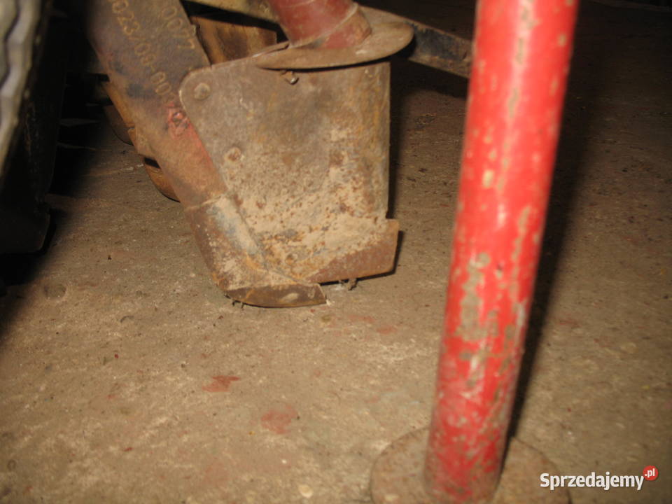 Siewnik poznaniak Przodkowo