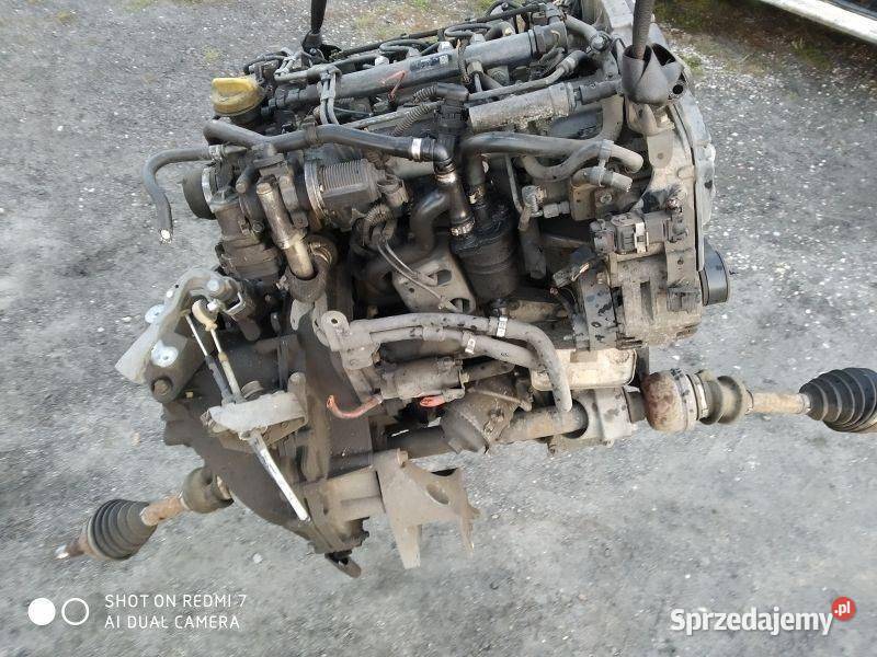 SILNIK KOMPLETNY 19 DIESEL OPEL ALFA ROMEO Motoryzacja Rudziniec sprzedam