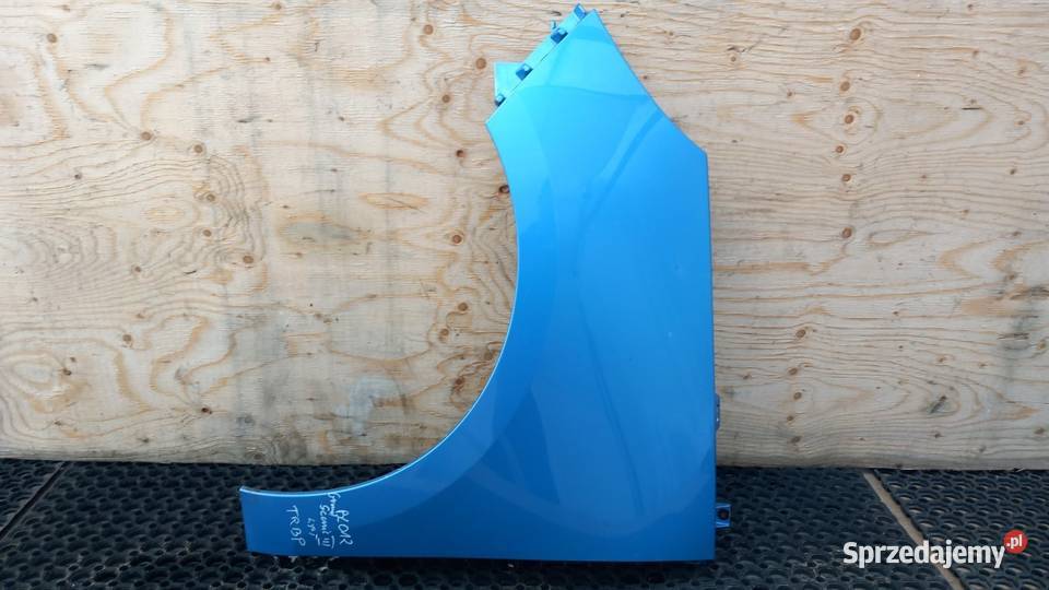 RENAULT SCENIC III LIFT BŁOTNIK PRZÓD LEWY TERBP wielkopolskie