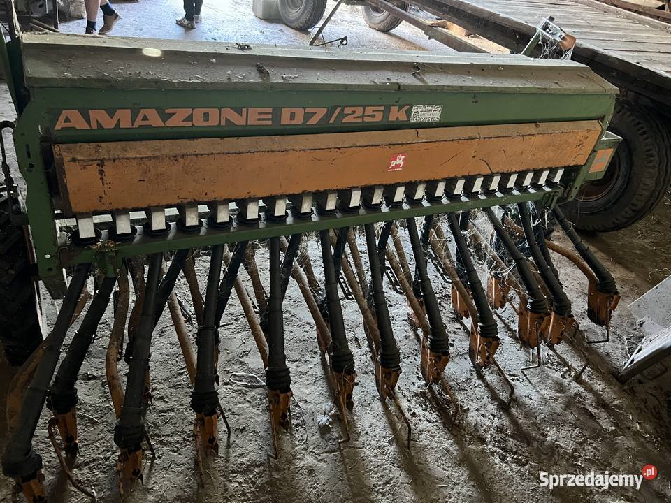 Siewnik amazone Krzecze