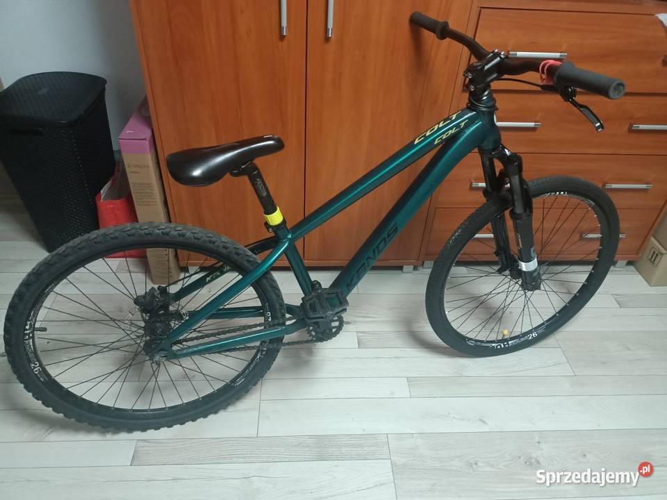 Kands colt stunt koła 26 kujawsko-pomorskie Toruń