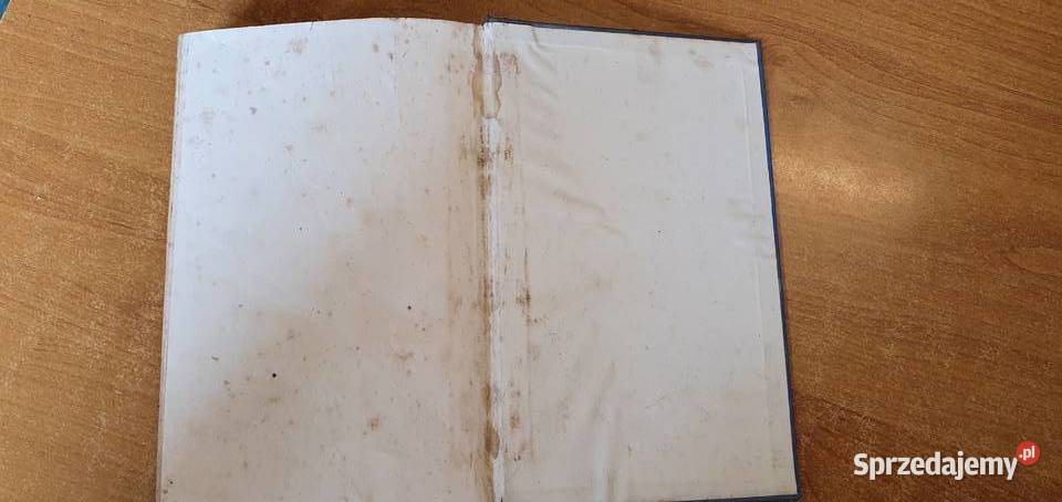 Heinz Steguweit Der Jungling im Feuerofen 1932 Bytom sprzedam