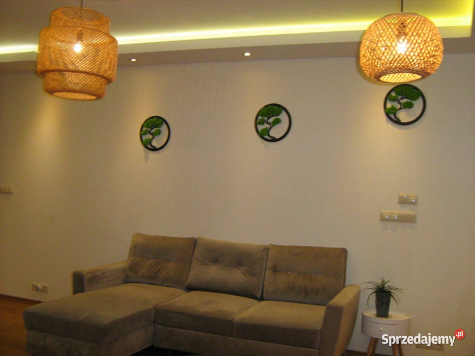 Fantastyczny segment z ogródkiem do zamieszkania szeregowa Józefosław