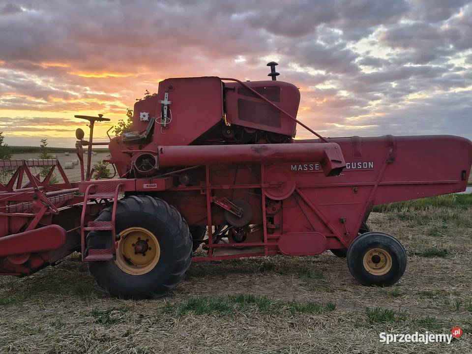 Massey ferguson 87 Baruchowo