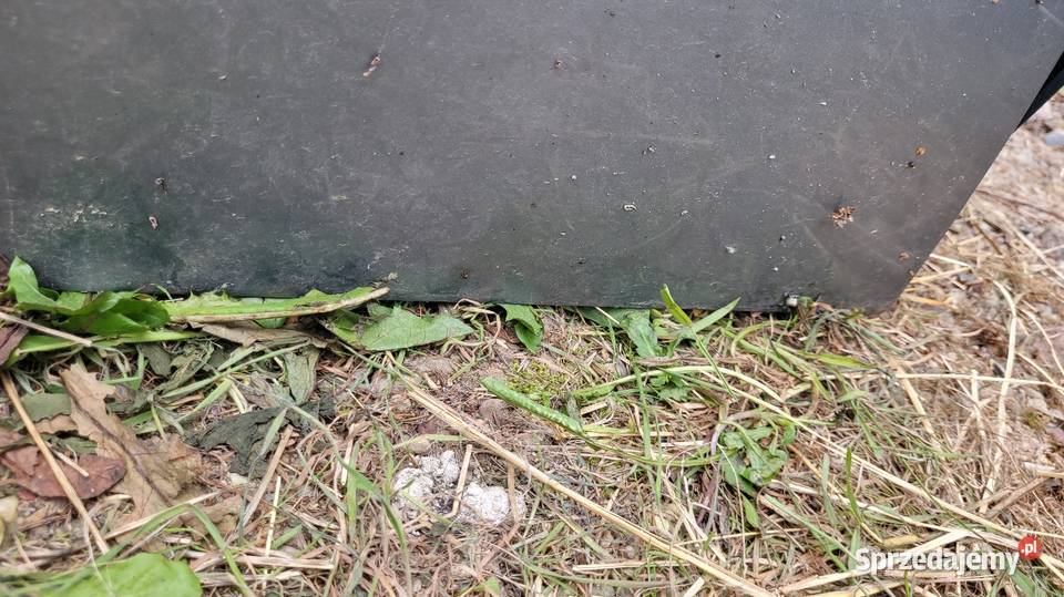 Drzwi Renault Scenic I Drzwi Łagów