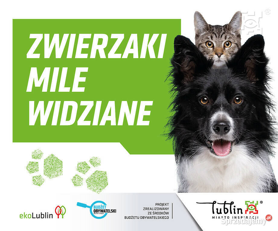 Klej do płytek ALPOL LUBLIN AK 511 z włóknami sprzedam