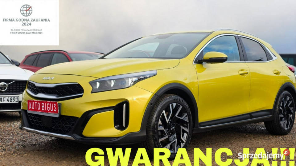 Kia XCeed zarejestrowana super stan Lębork