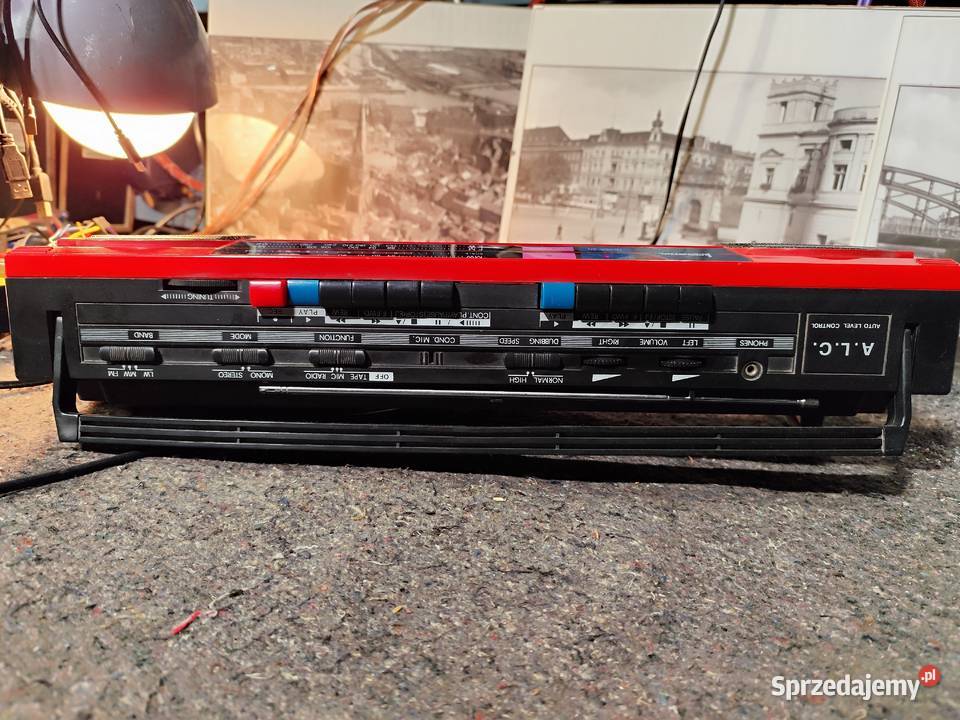 archaiczny jamnik International AK21 Grabowo sprzedam