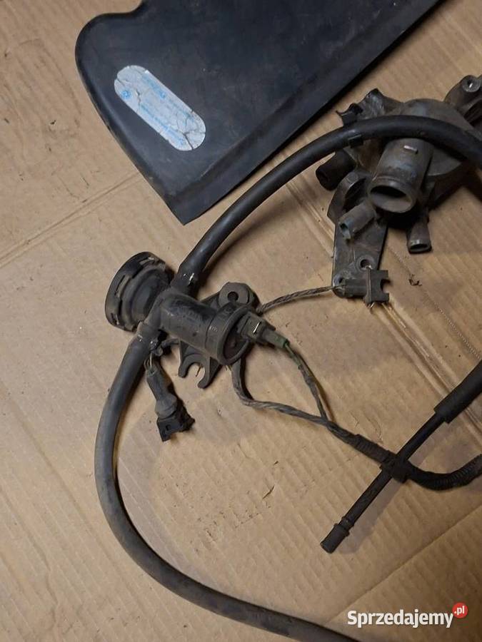 Vw Passat b5 Audi a4b5 Pozostałe Łańcut