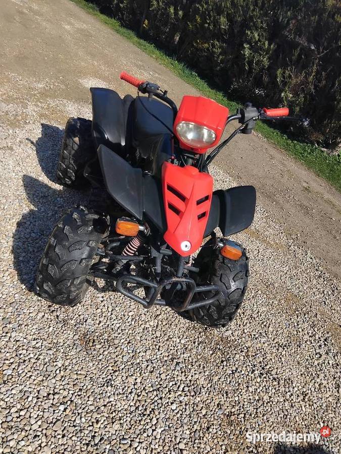 Quad 200 Kingway Shineray Pozostałe Konina