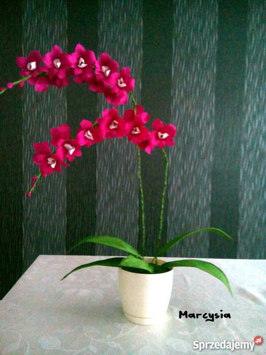 Storczyk z krepiny PREZENT NA DZIEŃ KOBIET mazowieckie Ostrołęka sprzedam