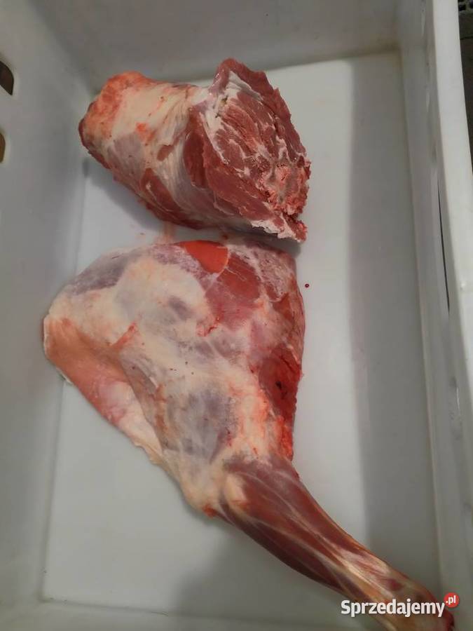 Jagnięcina świeża małopolskie Czernichów sprzedam