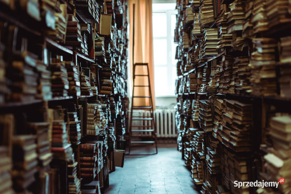 JLG GENIE instrukcje napraw obsługi DTR katalogi Poradniki, albumy i reportaże