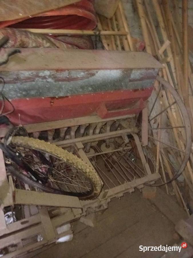 Siewnik konny półtorak Uchanie