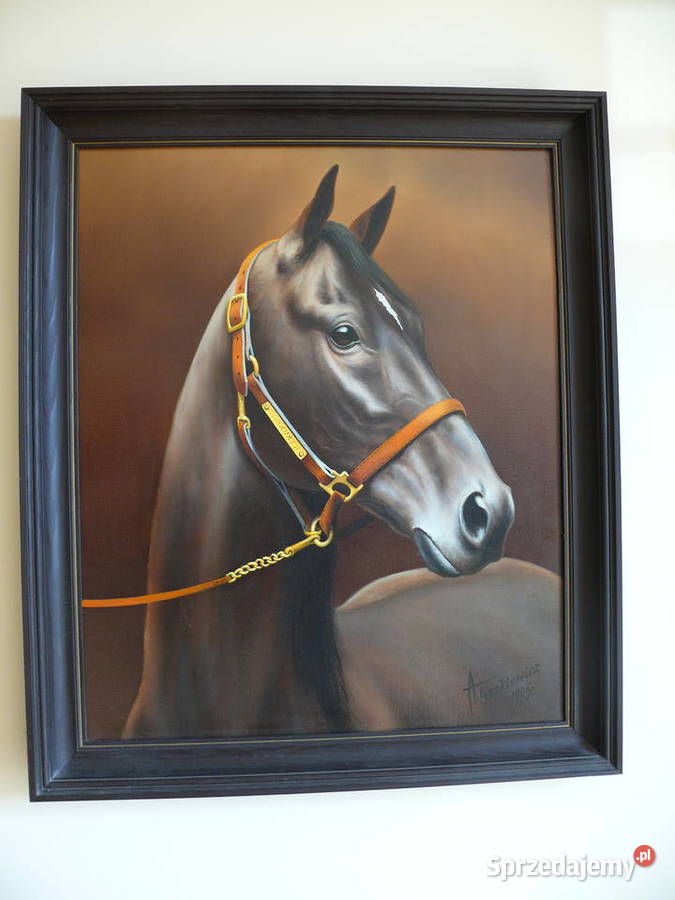 Portret konia A Tyszkiewicz mazowieckie Warszawa