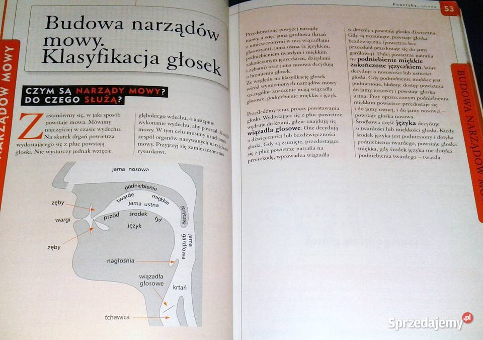 Gramatyka i stylistyka 3 Zofia CzarnieckaRodzik Chełm