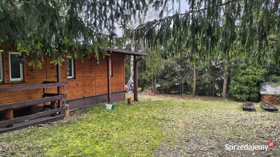 Sprzedam Działkę z Domkiem 620zł/m2 Dzierżenin