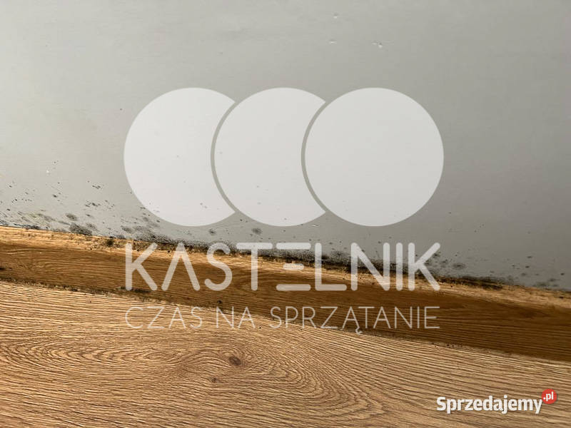 Odgrzybianie ścian Bukowno Kastelnik Usuwanie