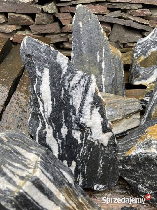 Skała BLACK ANGEL Kamień do Akwarium Seiryu Akwarystyka Grójec