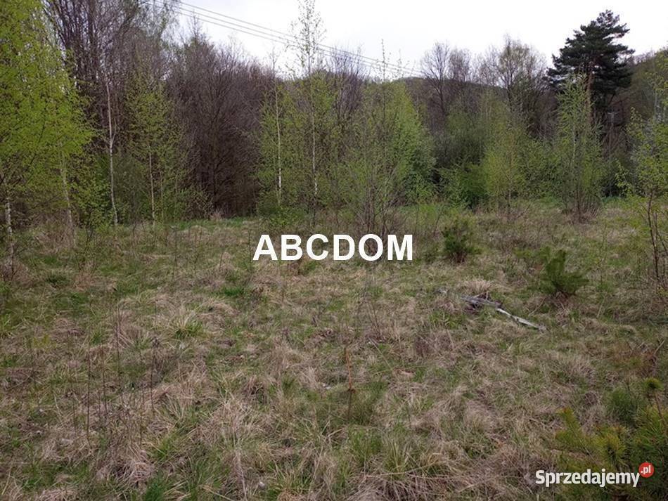 Raciborsko 39 ara łąki Tereny Z las Tereny ZL leśna sprzedam