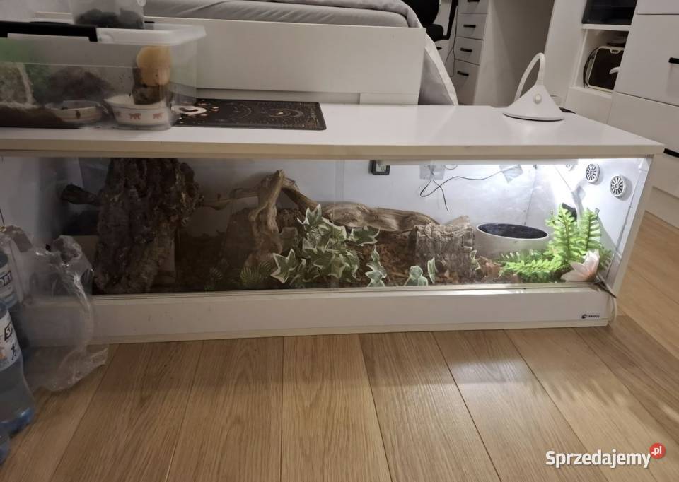 Terrarium 120x40x40 wyposażone weza i innych sprzedam