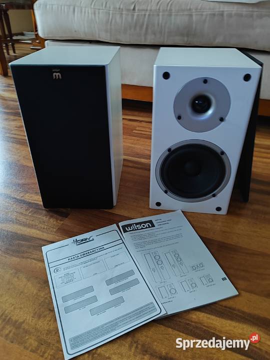 Kolumny Wilson Raptor 1 okazja 10 lat gwarancji Zielona Góra