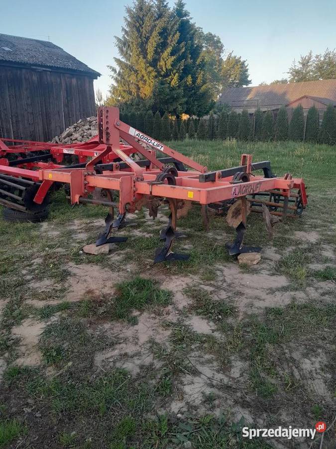 Gruber ścierniskowy Zamiany posiadam Łagów