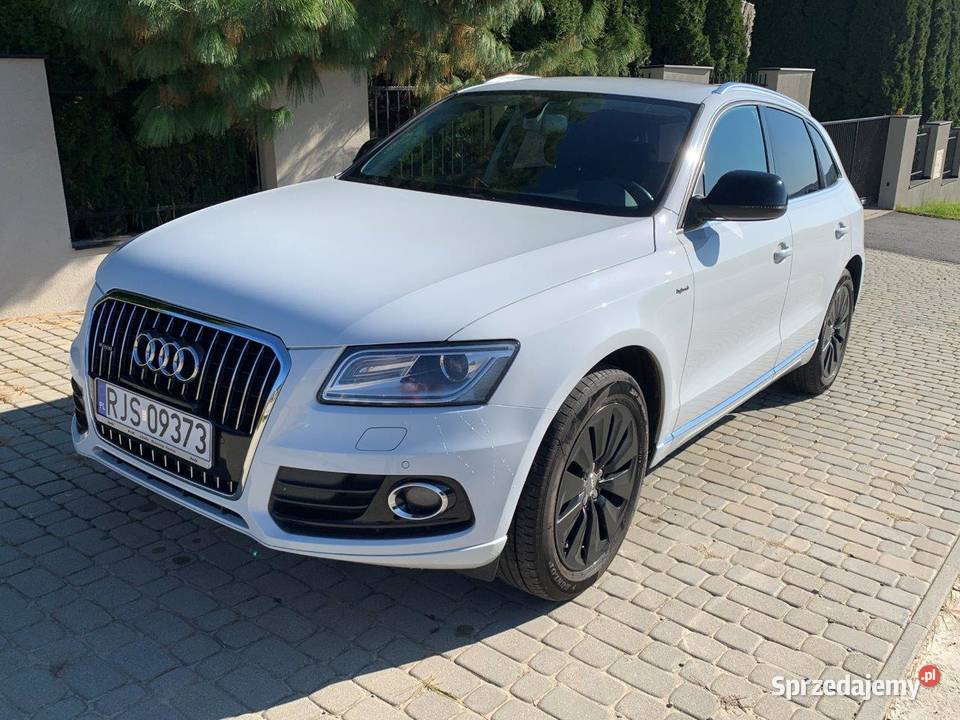 Audi Q5 Quattro Hybryd automatyczna Jasło