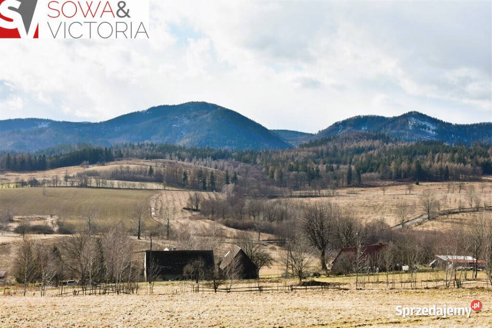 Słoneczna Widokowa Góry Sowie Olszyniec sprzedam