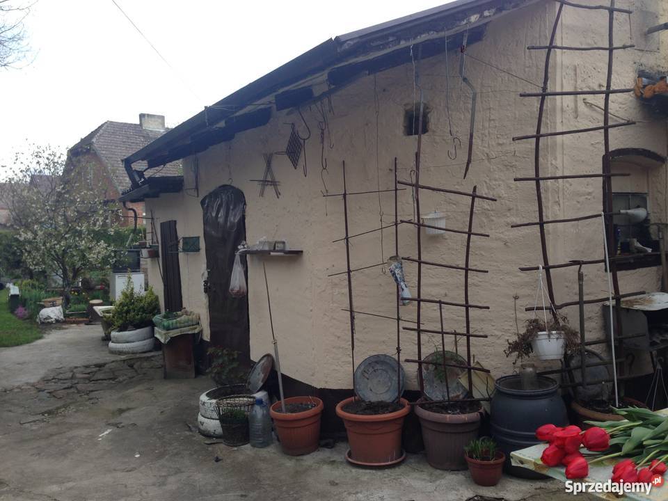 Krzemienna dom 60m2 z działką i budynkami cegła Krzemienna sprzedam