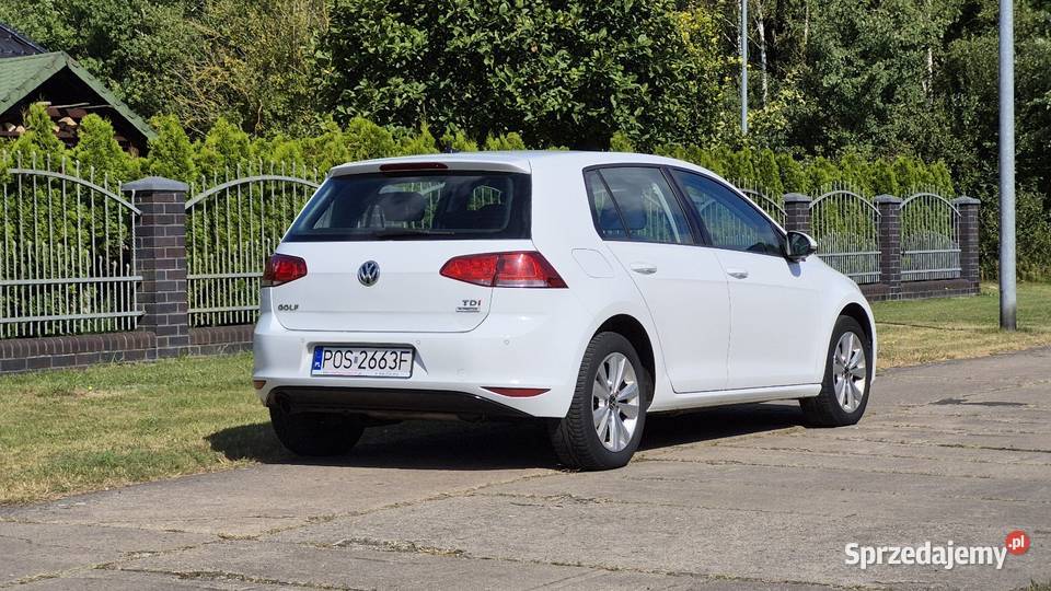Volkswagen Golf 7 16 diesel 2017 radary aktywny manualna Stargard