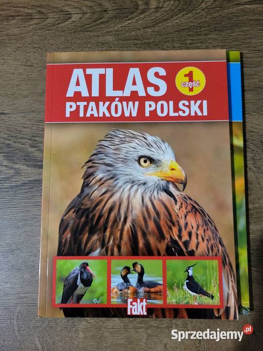 Książki Zwierzęta Gniezno