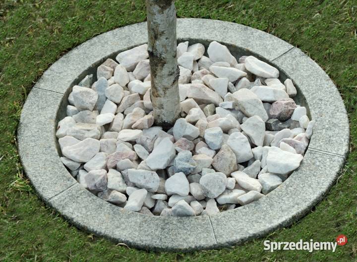 Obrzeże trawnikowe pod drzewa I krzew śr 50 Ogród Dębica