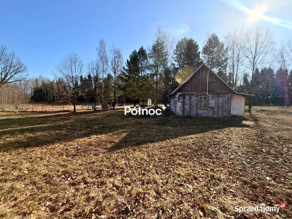 Siedlisko z lasem Ruda Kolonia 5min d0 Ruda-Kolonia