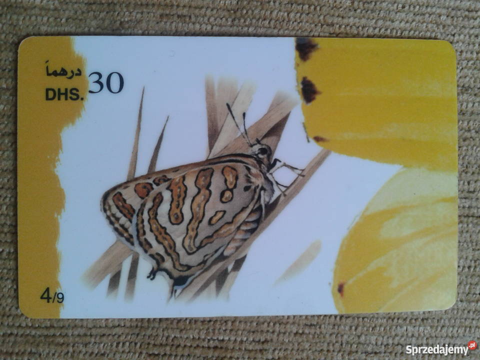 BUTTERFLY 49 MOTYL Piszczac