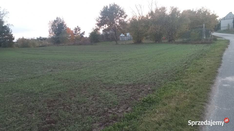 Sprzedam działkę budowlaną z laskiem sosnowym 37zł/m2 sprzedam