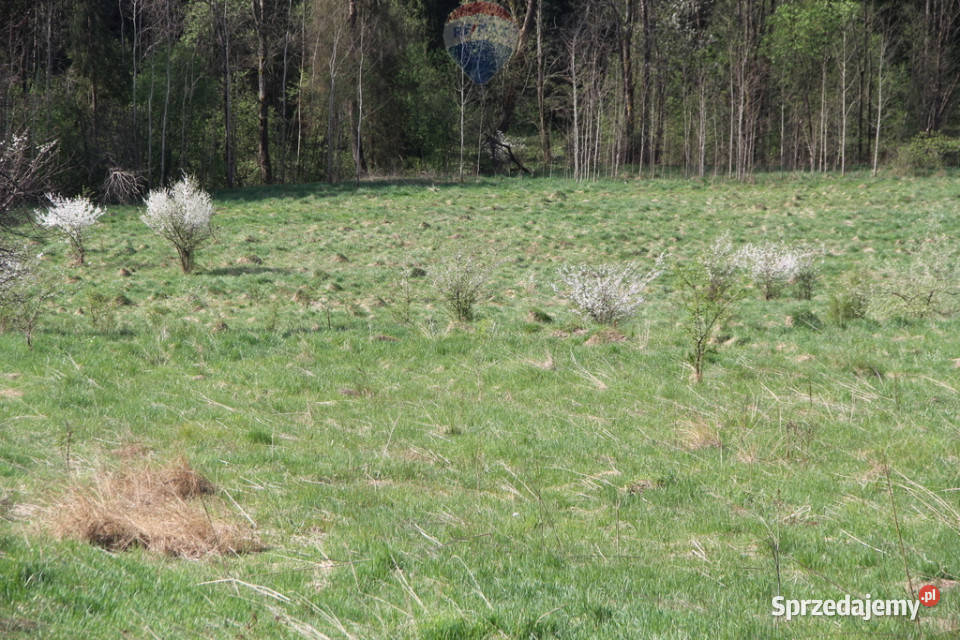 Kompleks działek w miejscowości Skomielna Biała 0m