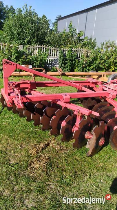 Talerzówka nieuszkodzony Jędrzejów