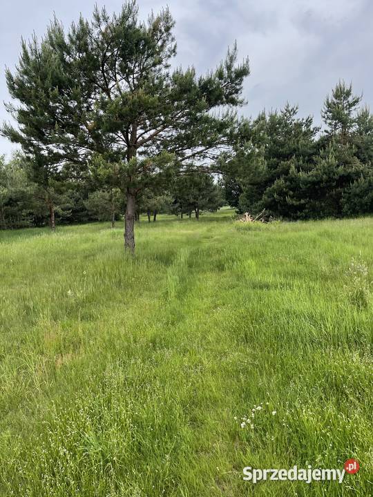 Dom na działce 96 arów mekintosz 10 Słotwiny