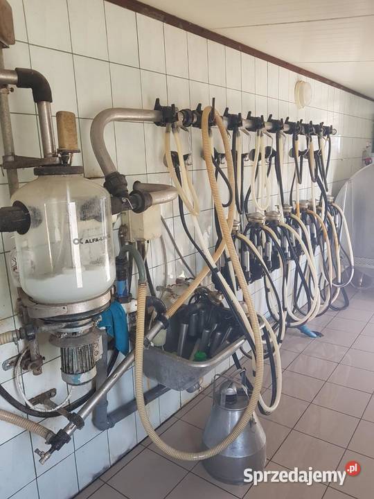 Dojarka przewodowa delaval kujawsko-pomorskie Skępe