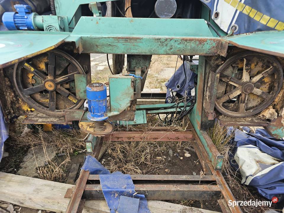 Trak drozdowski Pozostałe pomorskie Wejherowo