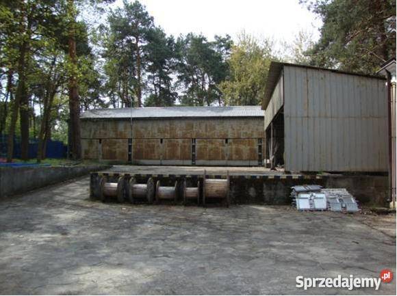 ORANGE POLSKA NIERUCHOMOSCI ŁOMIANKI Pionierów 3 924m2 Lokale użytkowe Łomianki