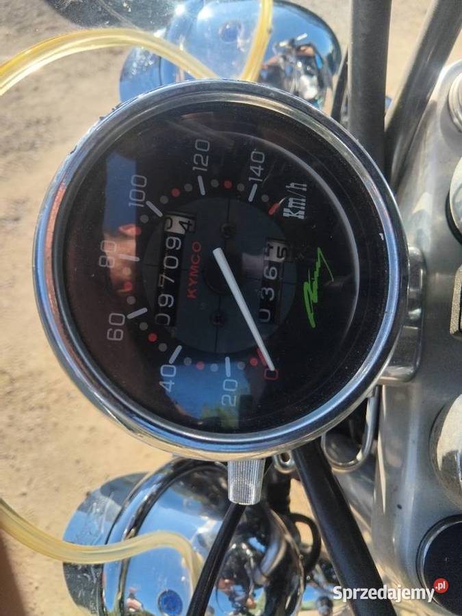 Chopper 125 Cruiser Kymco niski przebieg Konina