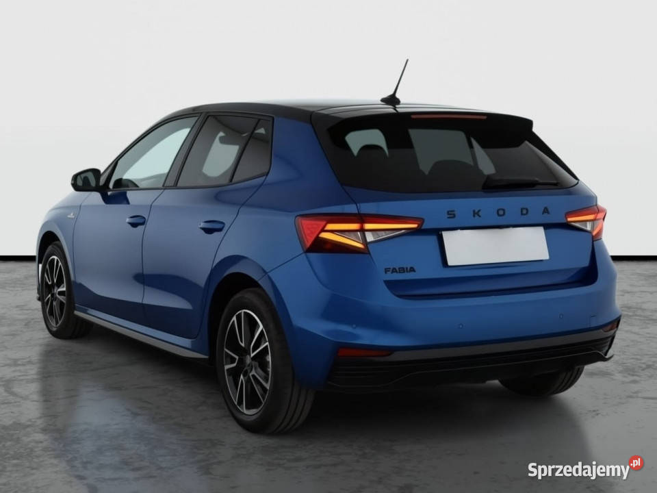 Skoda Fabia 10 TSI Łódź
