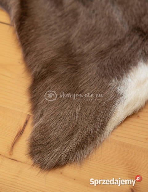 Skóra z kozy kozia skóra kozia skóra dekoracyjna Szaflary sprzedam