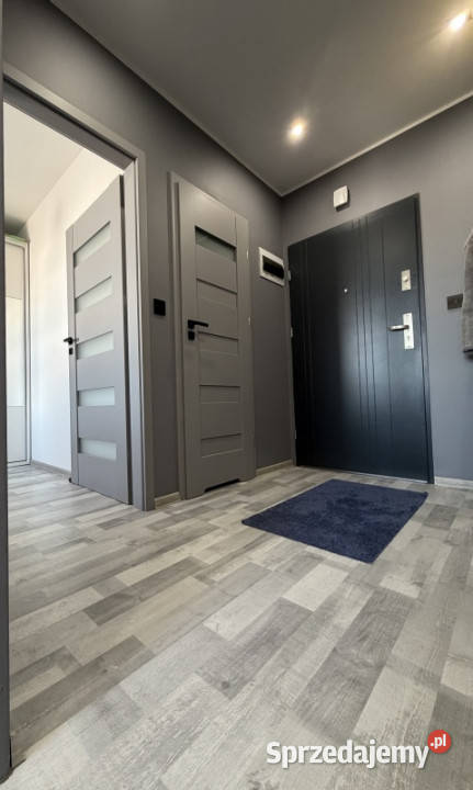 Słoneczne mieszkanie 2 pokoje 4877 m balkon