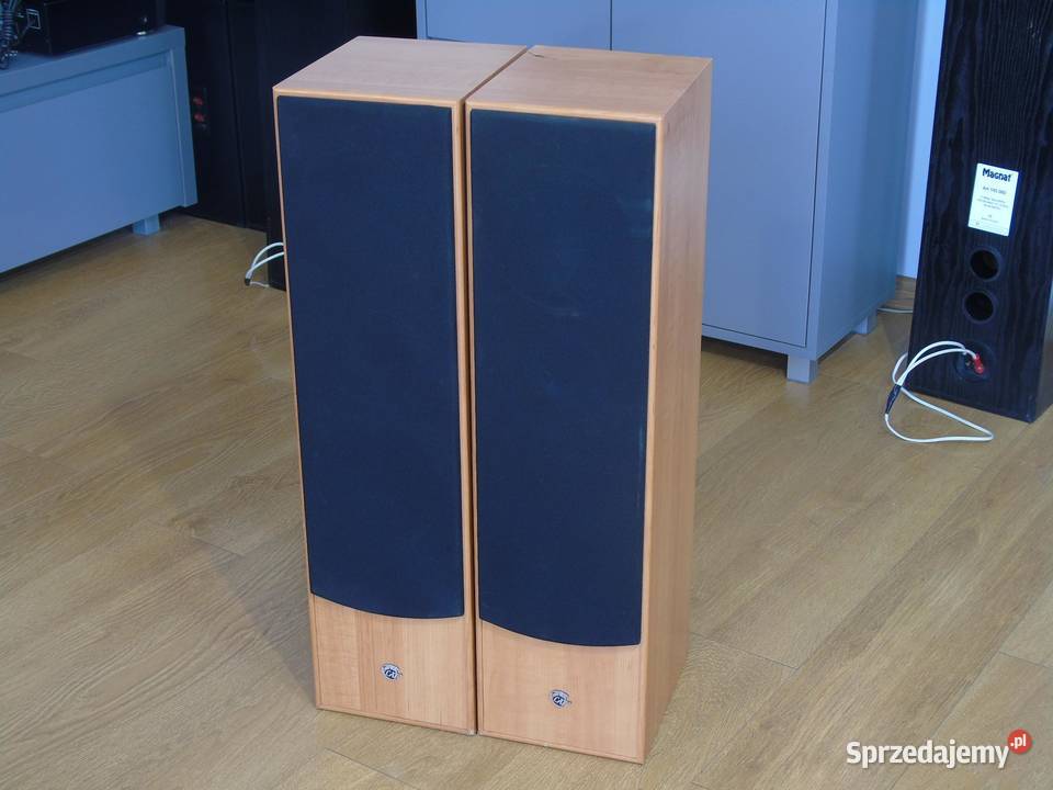 Kolumny Cat 2 x 380 wat ładne DOSTAWA Jasło